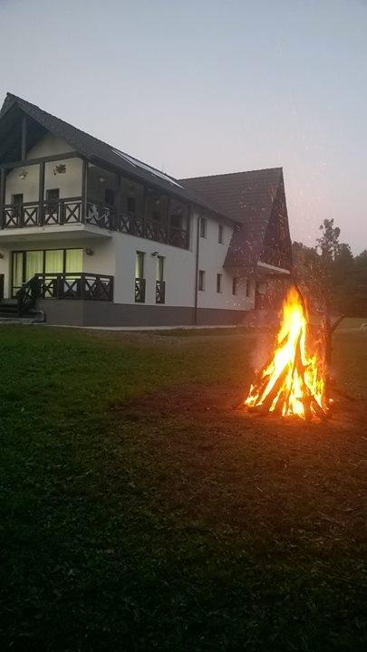 Pensiunea Steaua Nordului Vanatori  外观 照片